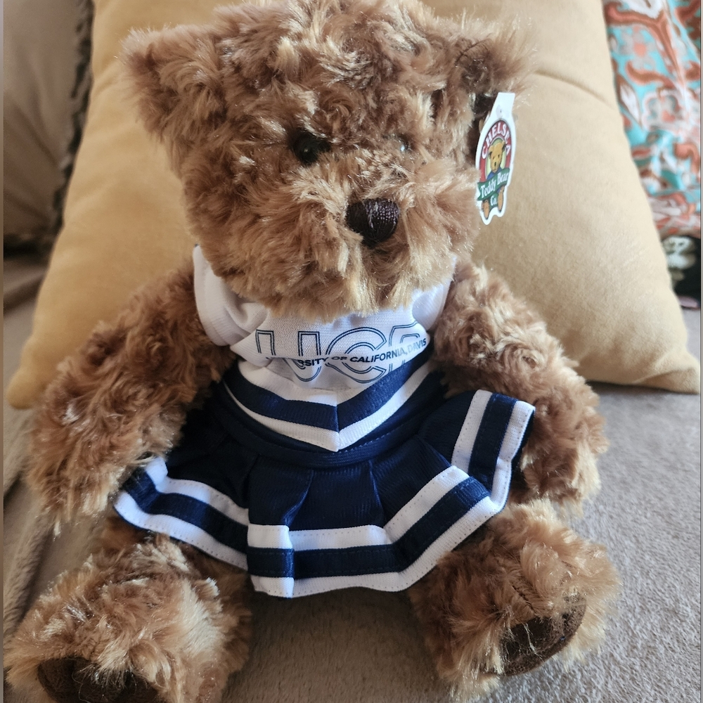 NORTH STARS CHELSEA TEDDY BEAR New with tag Dressed in Blue/White Cheerleader